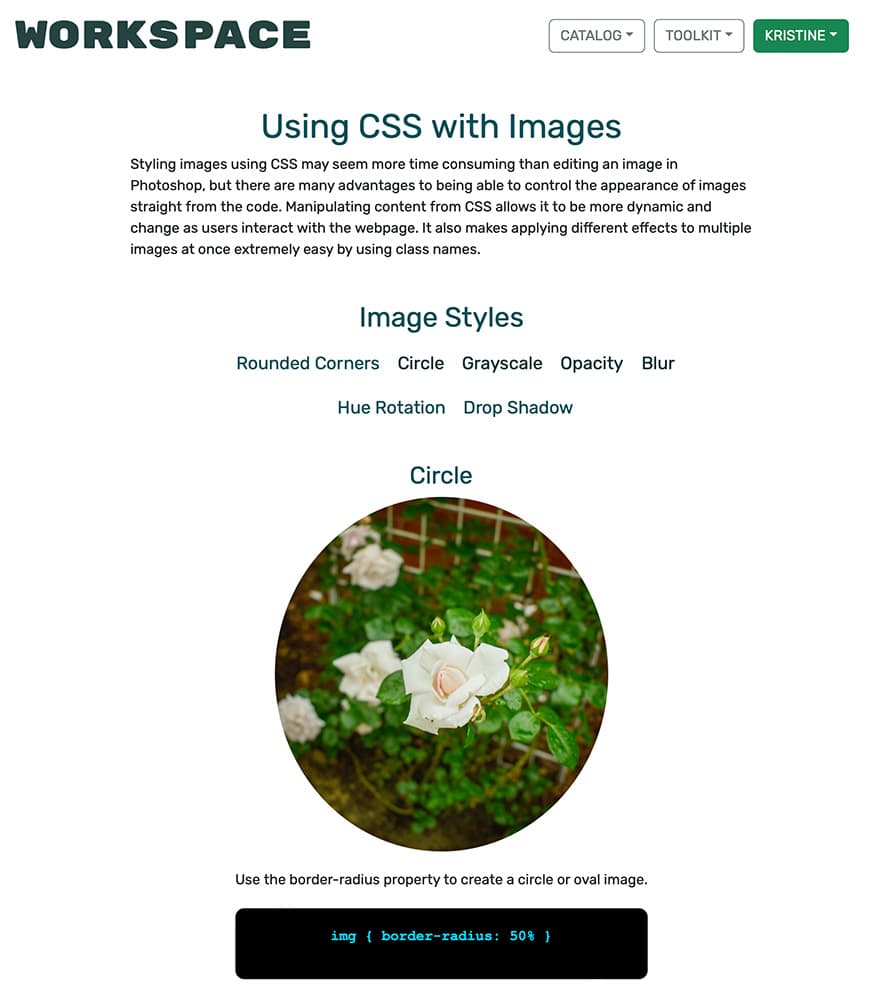 CSS Image Styling view